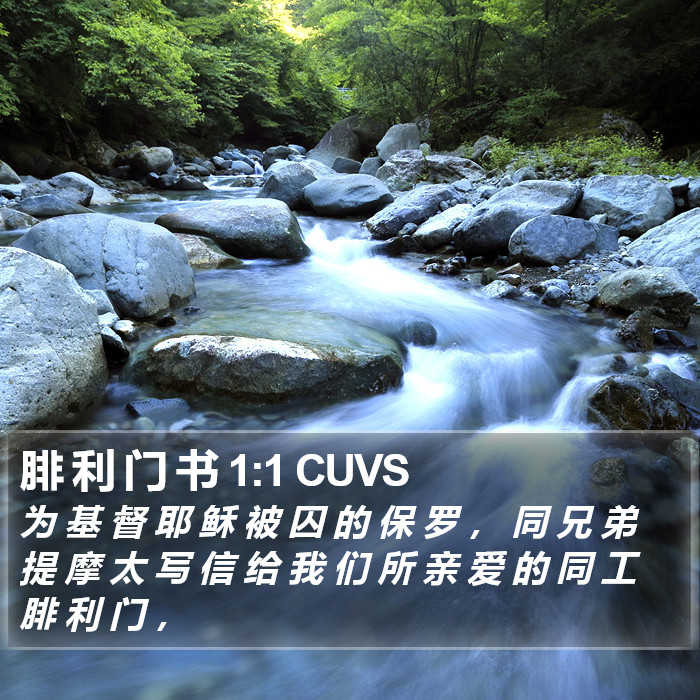 腓 利 门 书 1:1 CUVS Bible Study