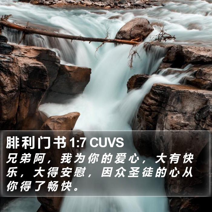 腓 利 门 书 1:7 CUVS Bible Study