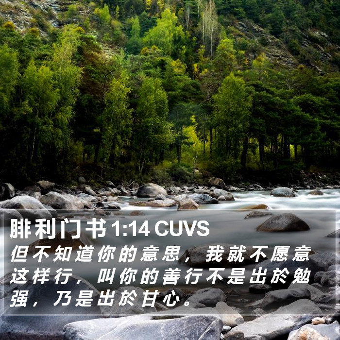 腓 利 门 书 1:14 CUVS Bible Study