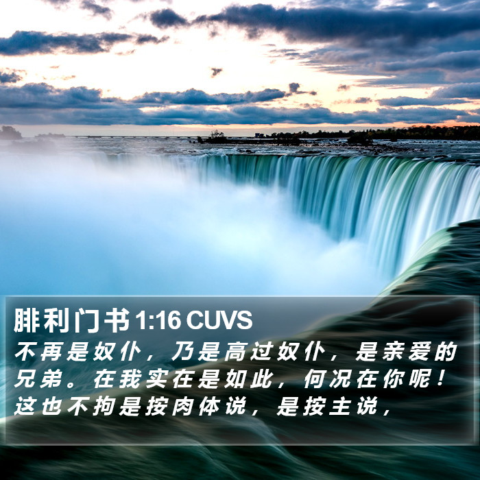 腓 利 门 书 1:16 CUVS Bible Study