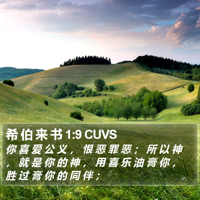 希 伯 来 书 1:9 CUVS Bible Study