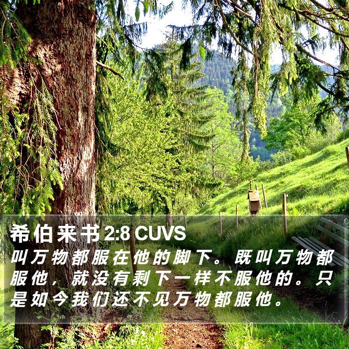 希 伯 来 书 2:8 CUVS Bible Study