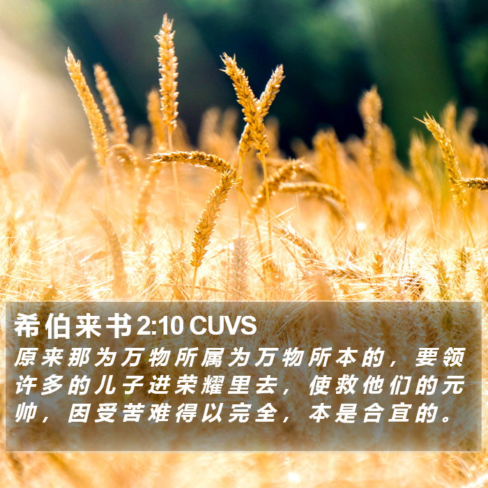 希 伯 来 书 2:10 CUVS Bible Study