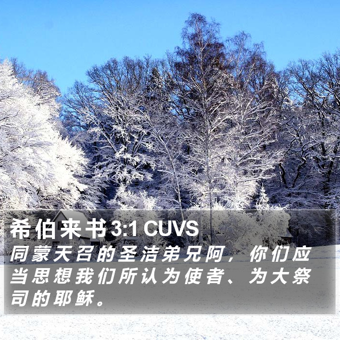 希 伯 来 书 3:1 CUVS Bible Study