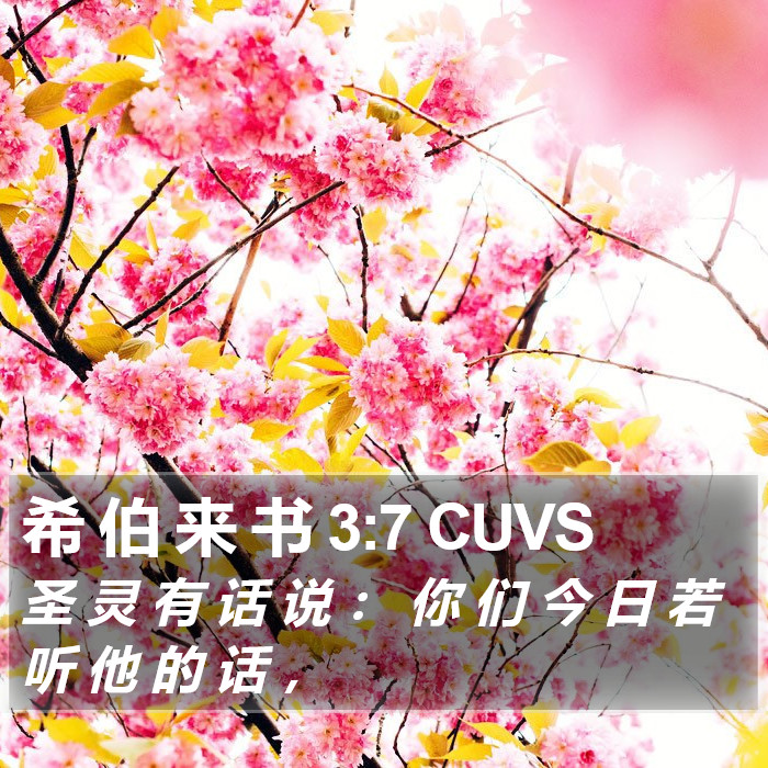 希 伯 来 书 3:7 CUVS Bible Study