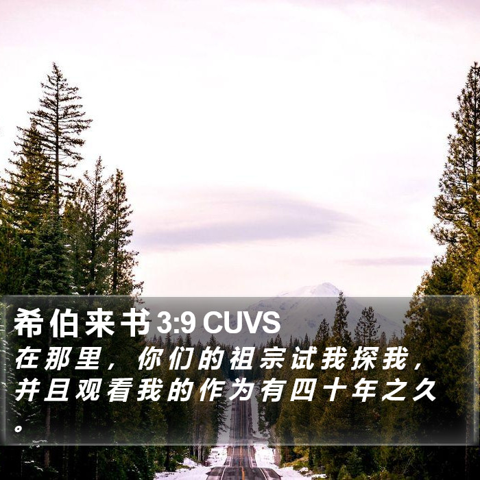 希 伯 来 书 3:9 CUVS Bible Study