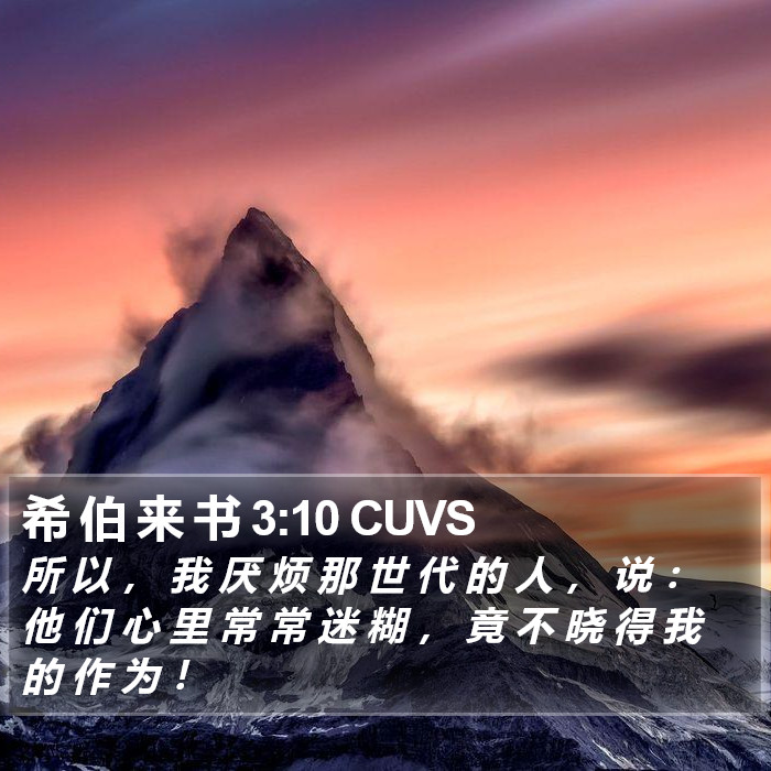 希 伯 来 书 3:10 CUVS Bible Study