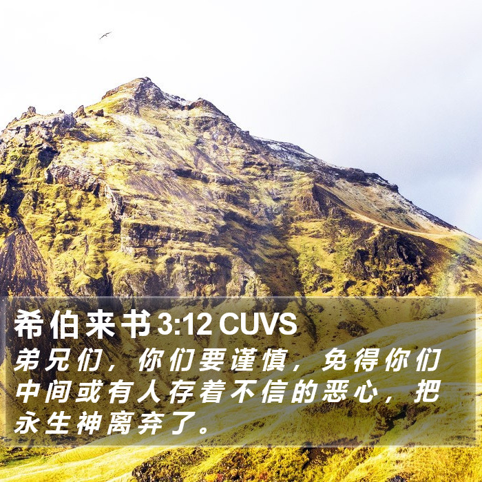 希 伯 来 书 3:12 CUVS Bible Study