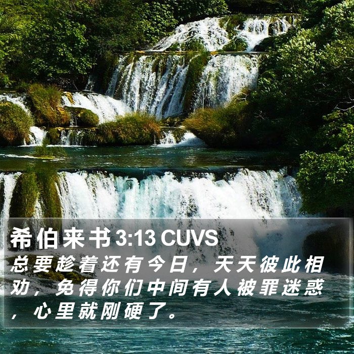 希 伯 来 书 3:13 CUVS Bible Study