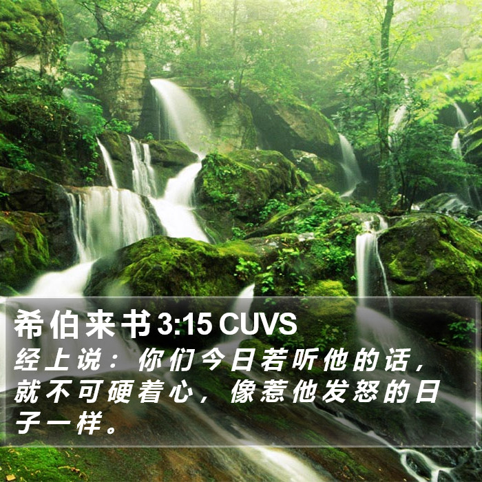 希 伯 来 书 3:15 CUVS Bible Study