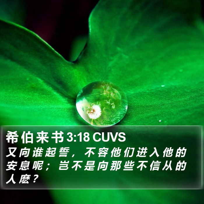 希 伯 来 书 3:18 CUVS Bible Study