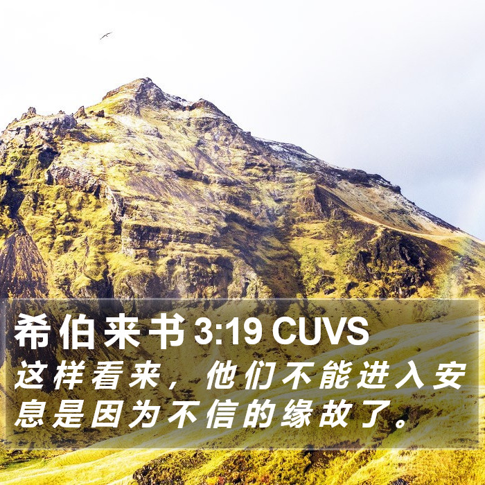 希 伯 来 书 3:19 CUVS Bible Study