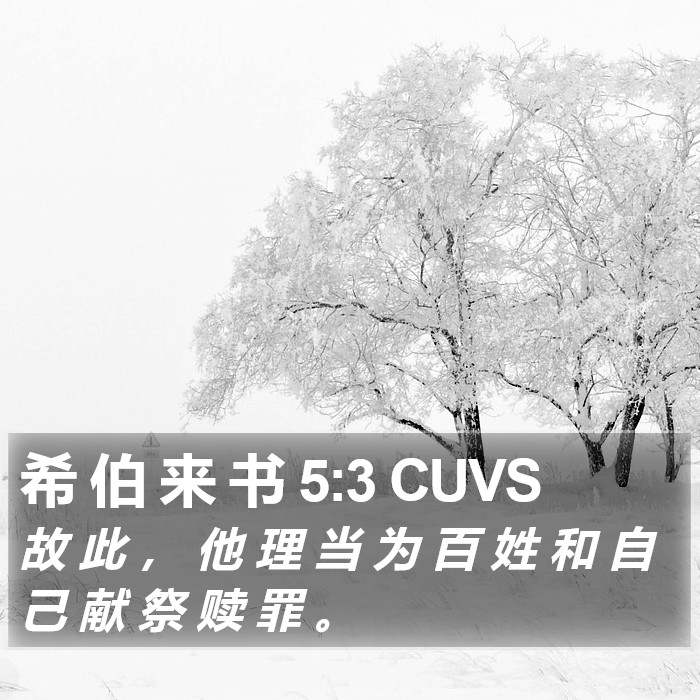 希 伯 来 书 5:3 CUVS Bible Study
