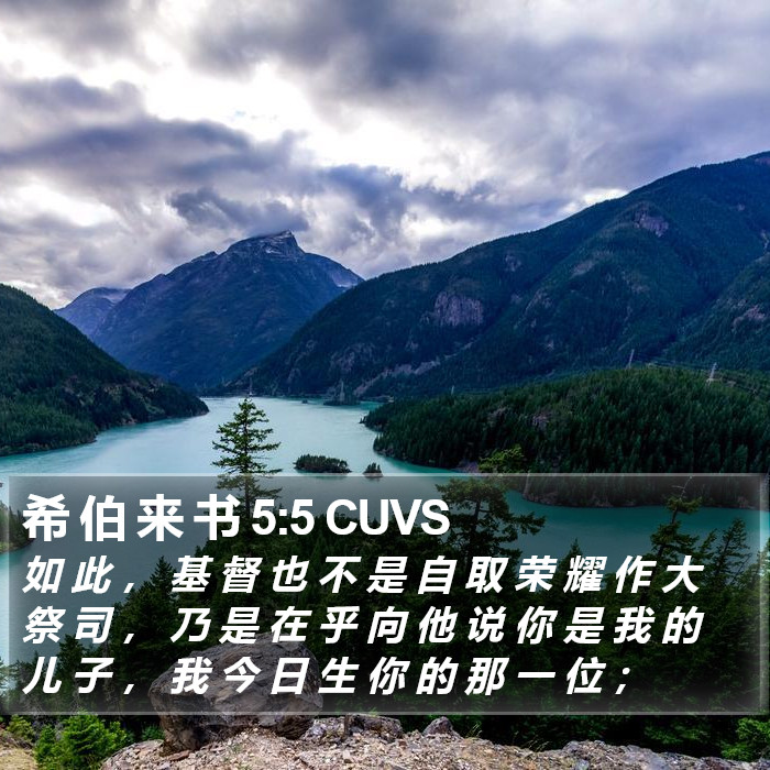 希 伯 来 书 5:5 CUVS Bible Study