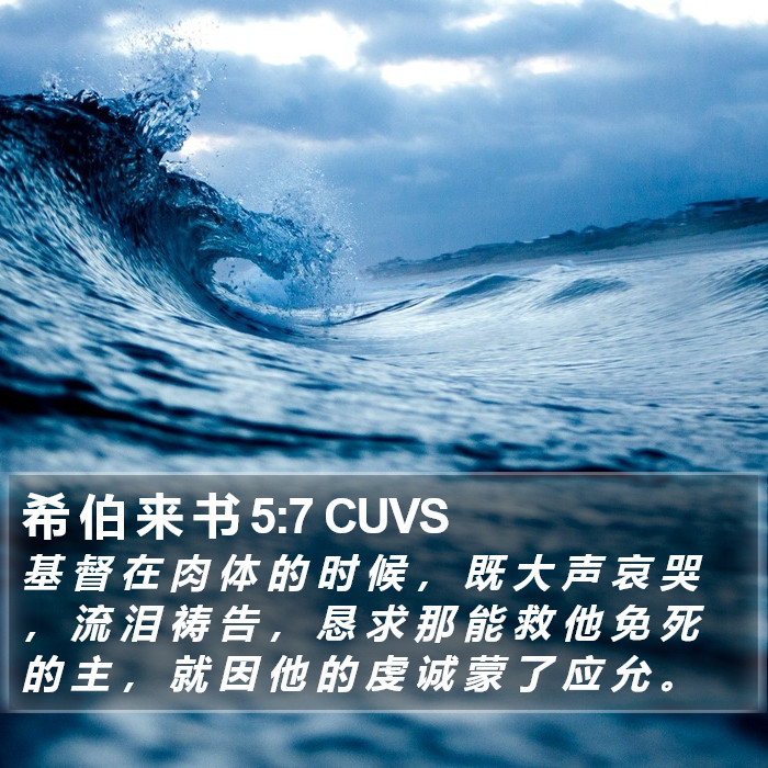 希 伯 来 书 5:7 CUVS Bible Study