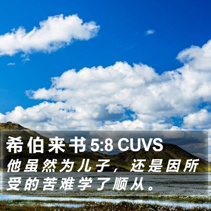 希 伯 来 书 5:8 CUVS Bible Study
