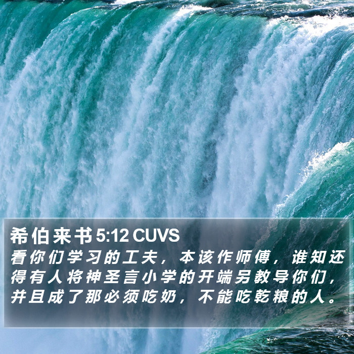 希 伯 来 书 5:12 CUVS Bible Study