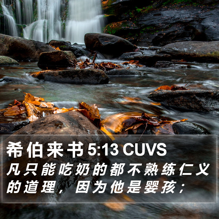 希 伯 来 书 5:13 CUVS Bible Study