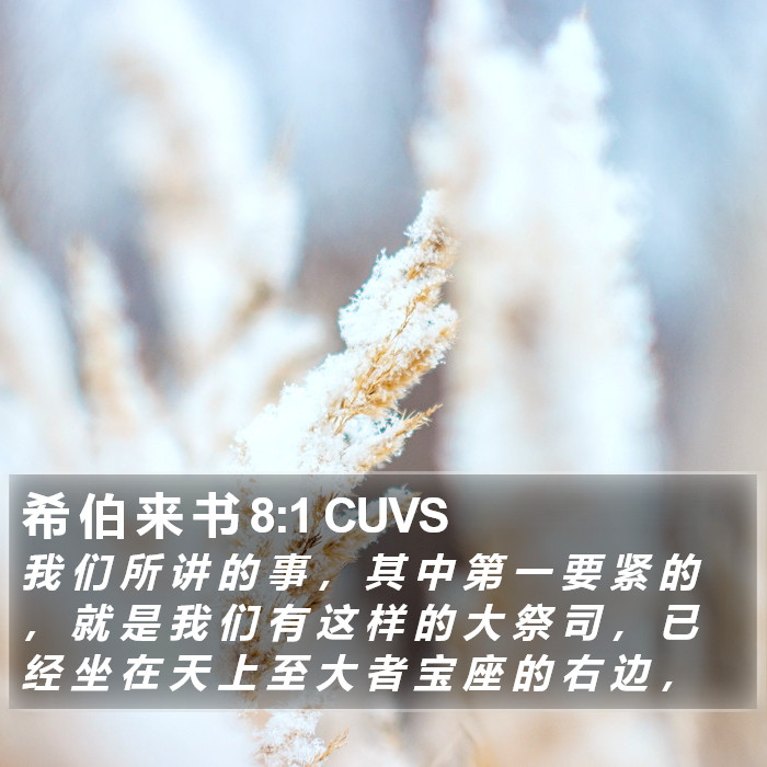 希 伯 来 书 8:1 CUVS Bible Study