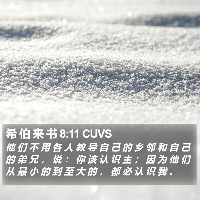 希 伯 来 书 8:11 CUVS Bible Study