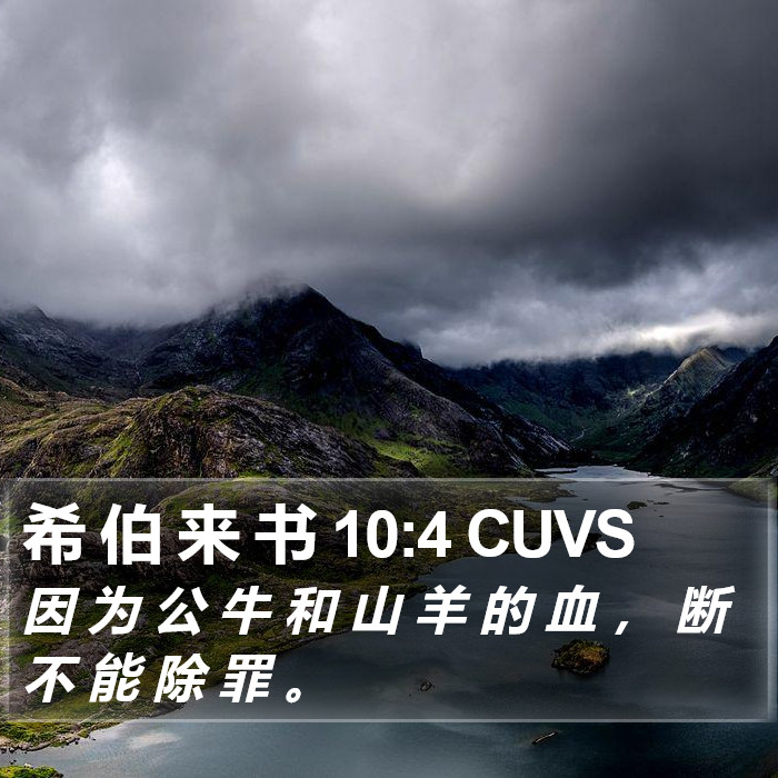 希 伯 来 书 10:4 CUVS Bible Study