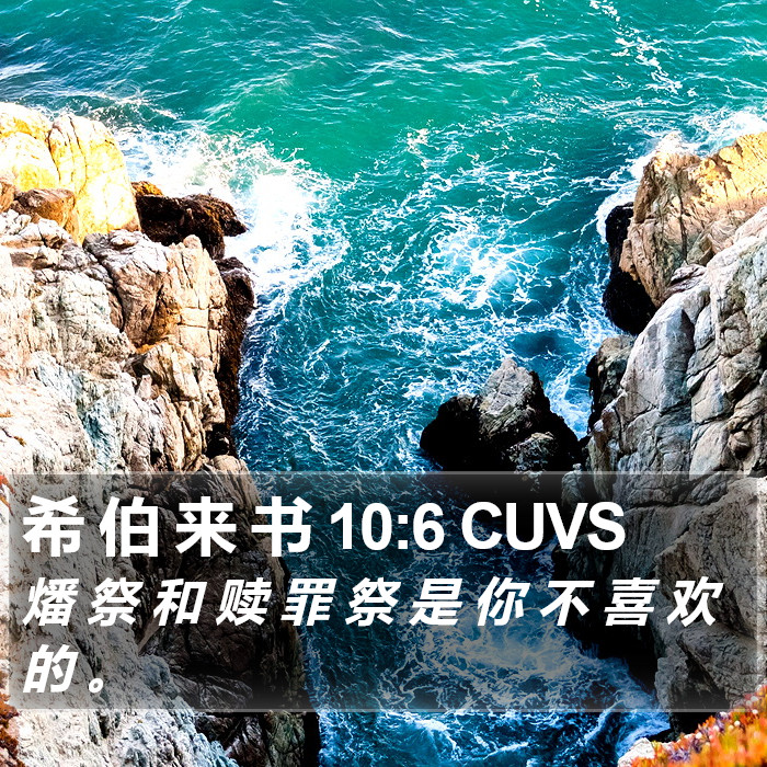希 伯 来 书 10:6 CUVS Bible Study
