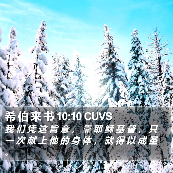希 伯 来 书 10:10 CUVS Bible Study