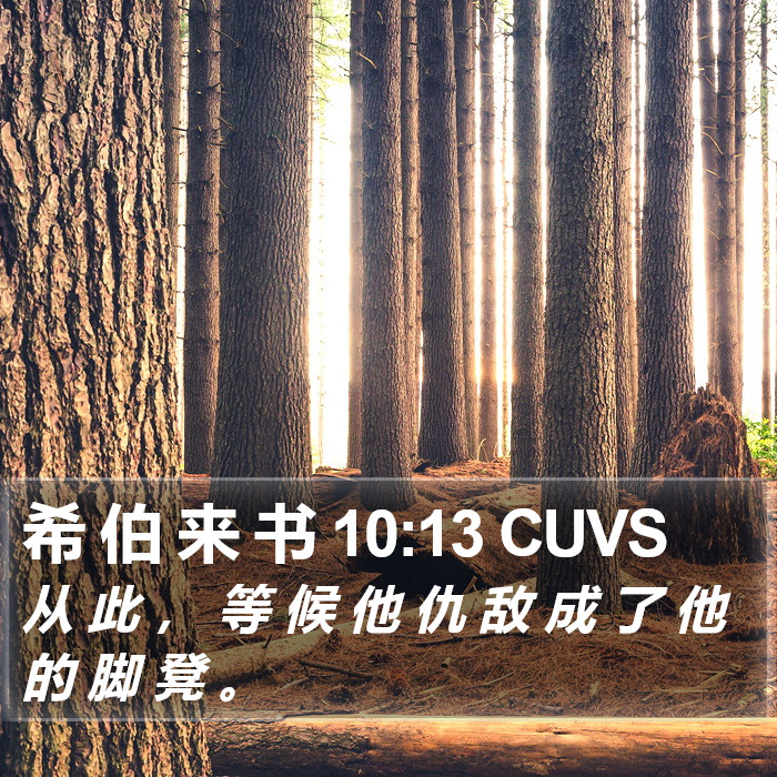 希 伯 来 书 10:13 CUVS Bible Study