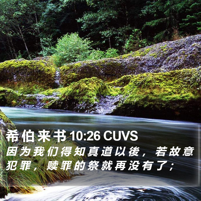 希 伯 来 书 10:26 CUVS Bible Study