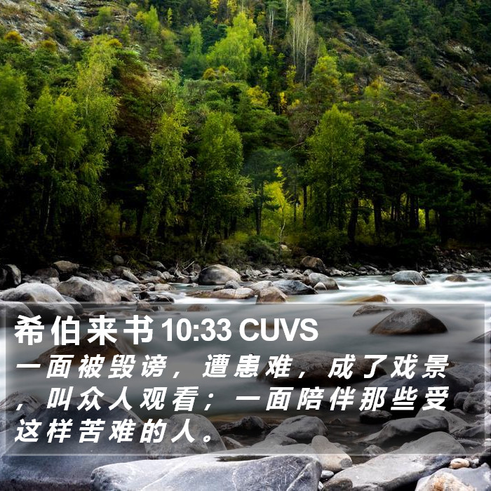 希 伯 来 书 10:33 CUVS Bible Study