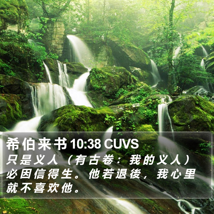 希 伯 来 书 10:38 CUVS Bible Study