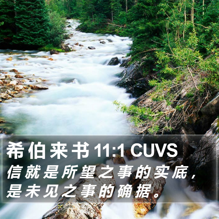 希 伯 来 书 11:1 CUVS Bible Study