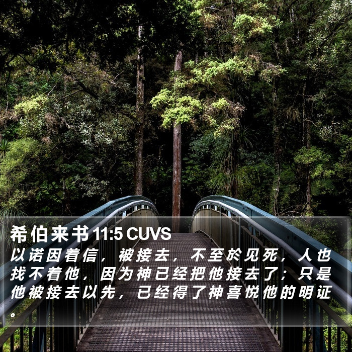 希 伯 来 书 11:5 CUVS Bible Study