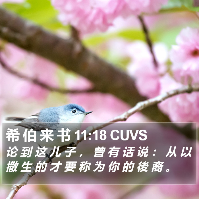 希 伯 来 书 11:18 CUVS Bible Study
