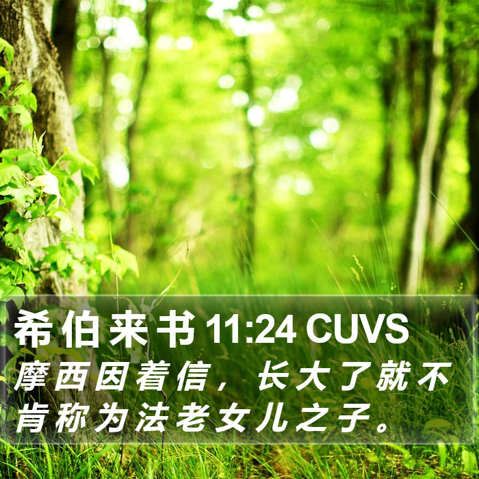 希 伯 来 书 11:24 CUVS Bible Study
