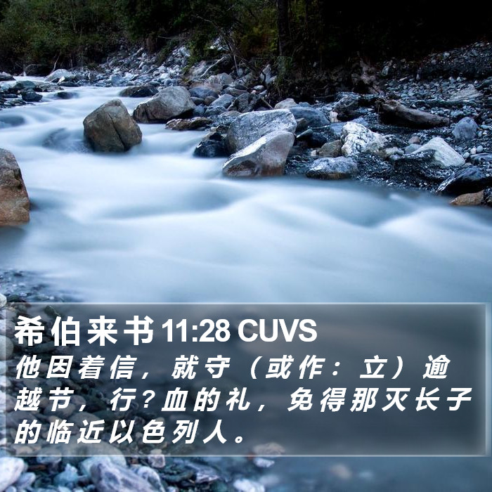 希 伯 来 书 11:28 CUVS Bible Study