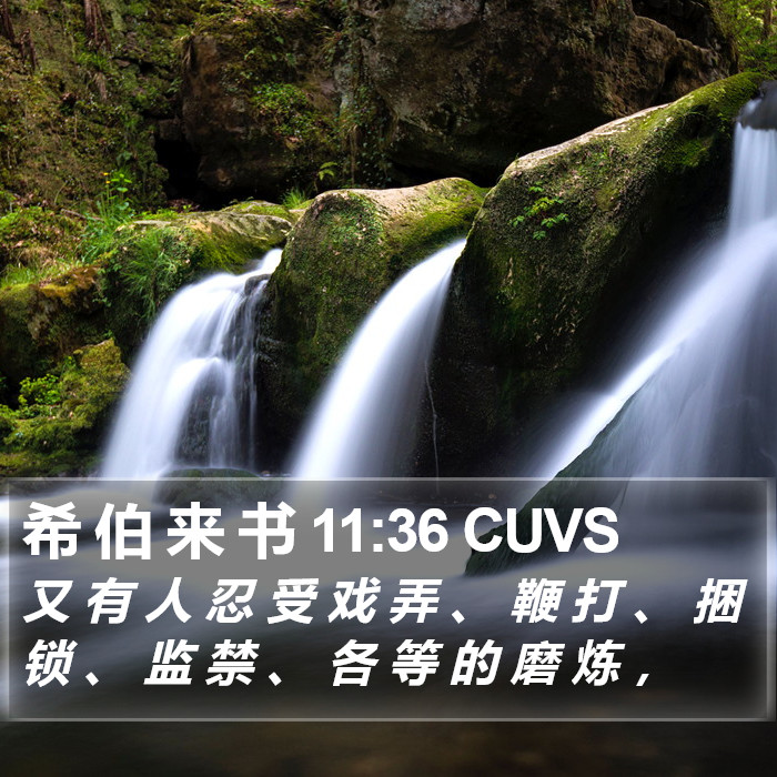 希 伯 来 书 11:36 CUVS Bible Study