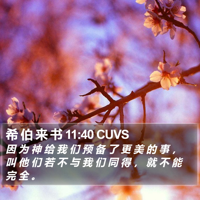 希 伯 来 书 11:40 CUVS Bible Study