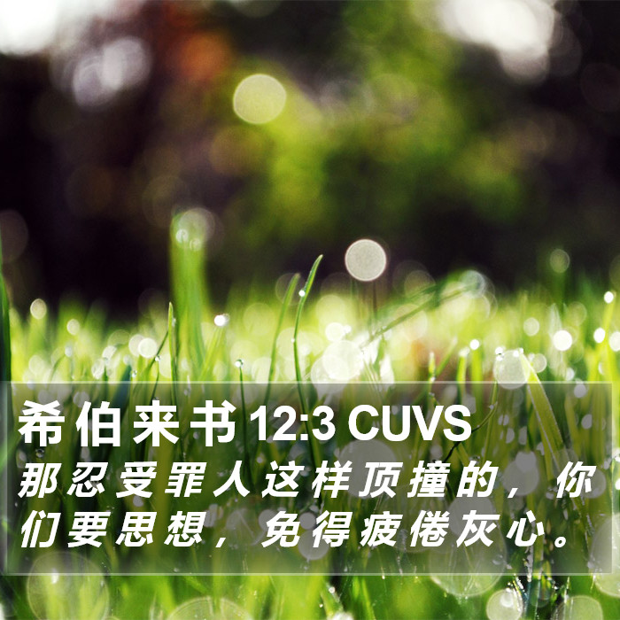 希 伯 来 书 12:3 CUVS Bible Study