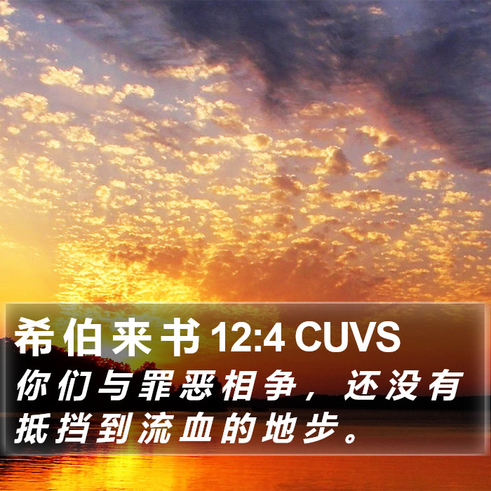 希 伯 来 书 12:4 CUVS Bible Study