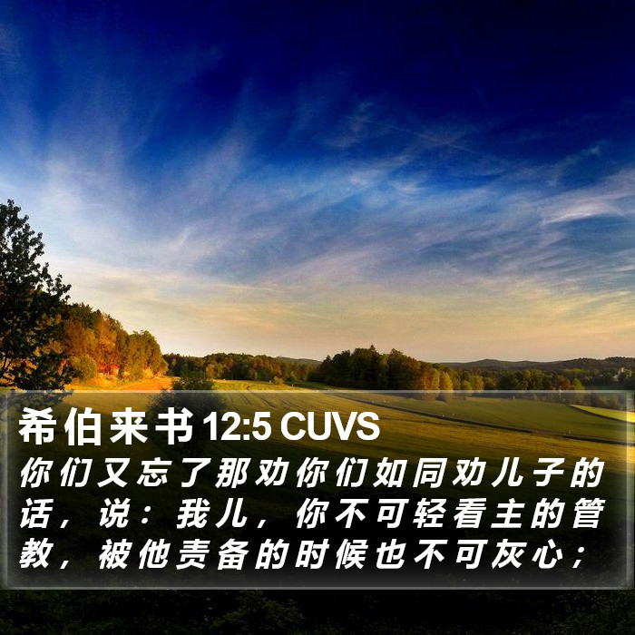 希 伯 来 书 12:5 CUVS Bible Study