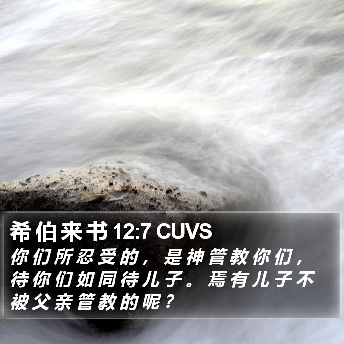 希 伯 来 书 12:7 CUVS Bible Study