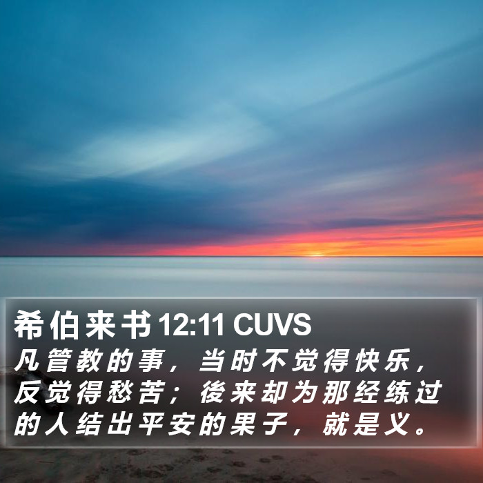 希 伯 来 书 12:11 CUVS Bible Study