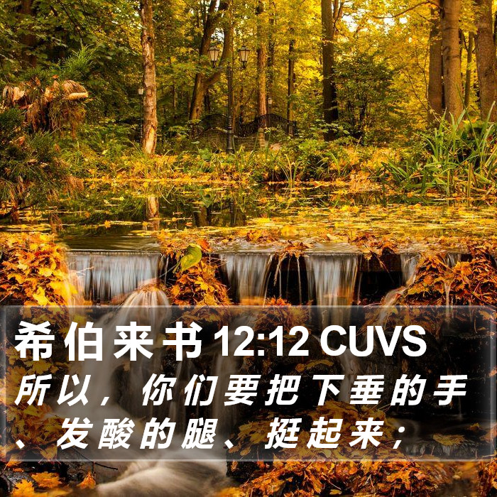 希 伯 来 书 12:12 CUVS Bible Study