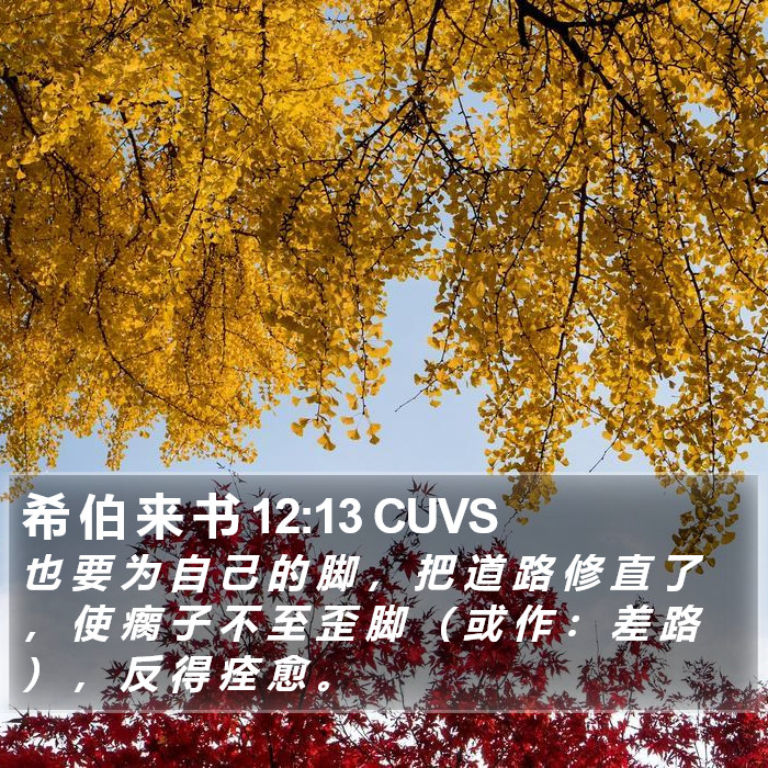 希 伯 来 书 12:13 CUVS Bible Study