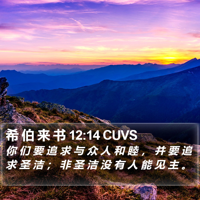 希 伯 来 书 12:14 CUVS Bible Study