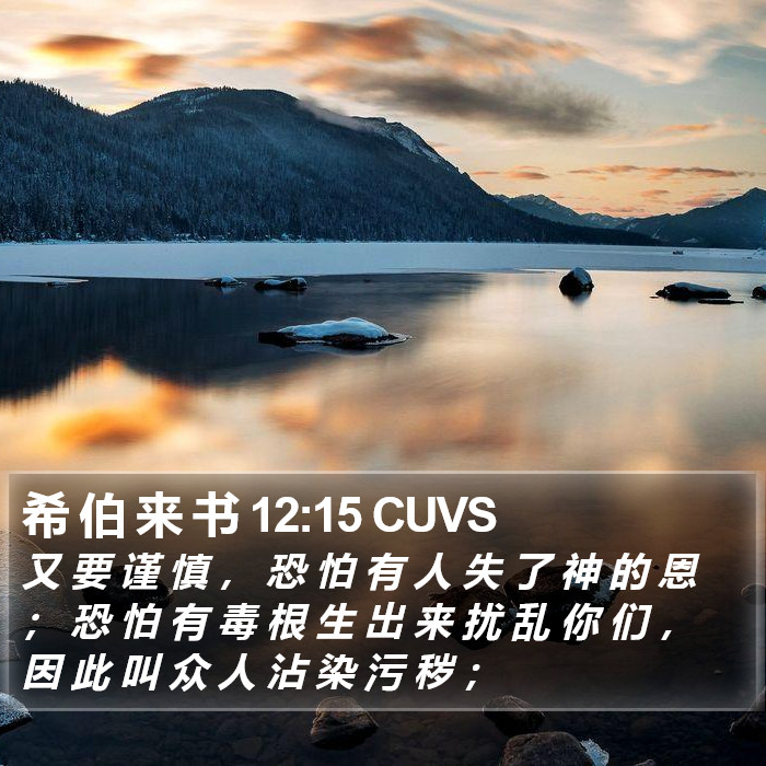 希 伯 来 书 12:15 CUVS Bible Study