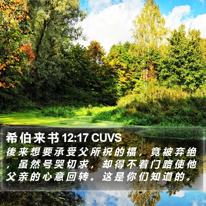 希 伯 来 书 12:17 CUVS Bible Study