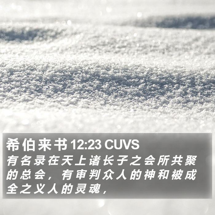 希 伯 来 书 12:23 CUVS Bible Study