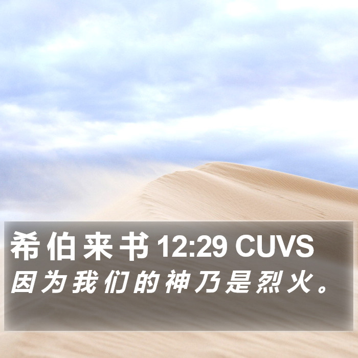 希 伯 来 书 12:29 CUVS Bible Study